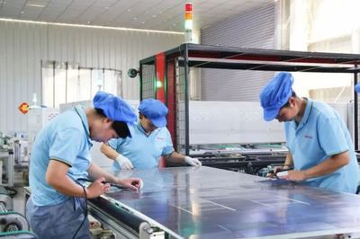 搶機遇抓生產,日照高新區外貿企業產銷旺